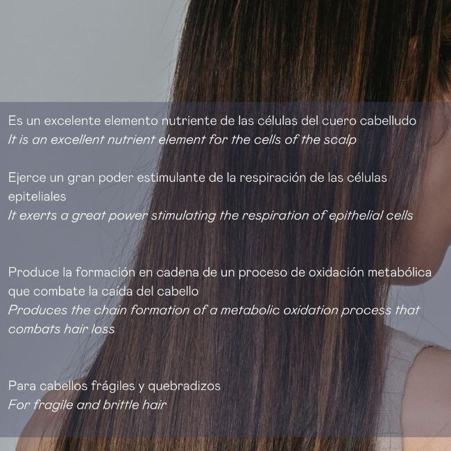 Placenta pack capilar 6 ampollas 15 ml champú 200 ml