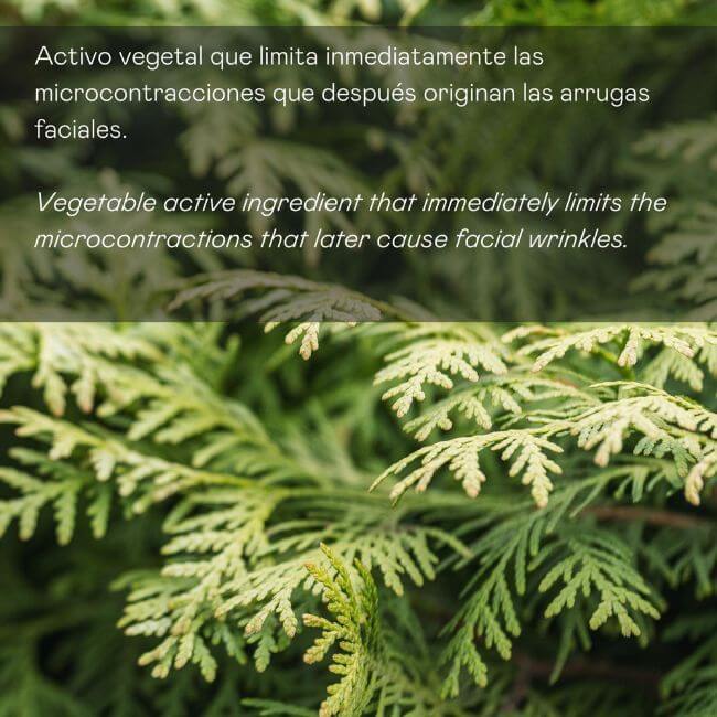 Sérum facial antiarrugas acción intensiva con retinol